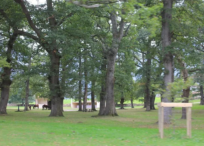 La Plazuela * Quintana de Soba